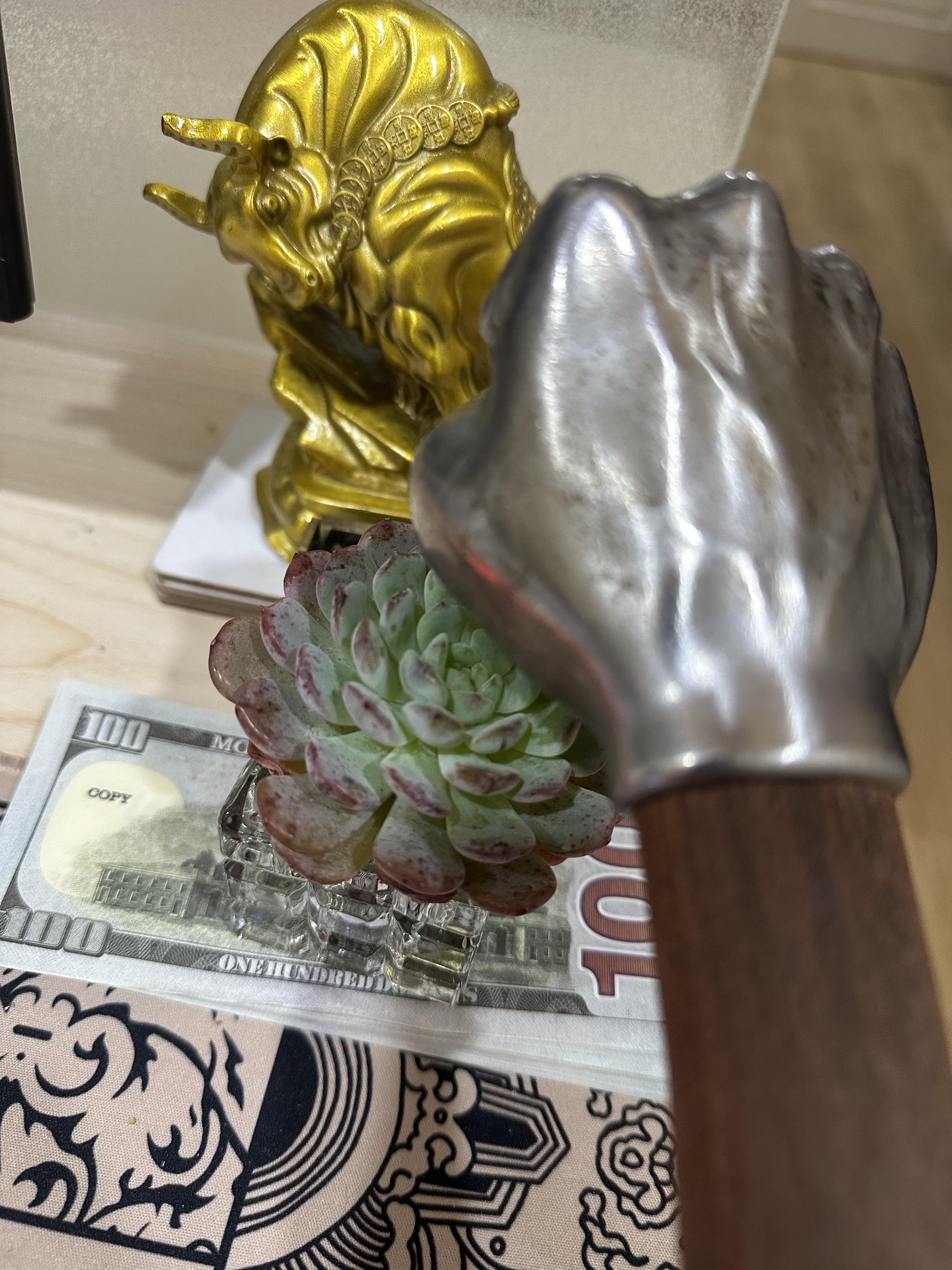 比特币能带动哪些山寨币交易，比特币能带动哪些山寨币